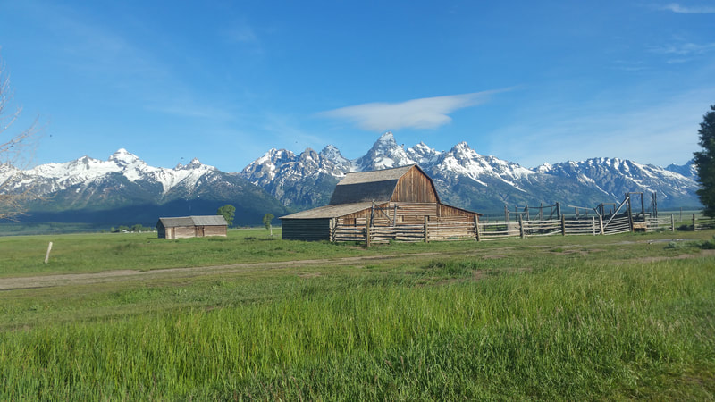 Barn in green field with Grand Tetons in background